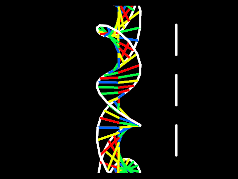 DNA