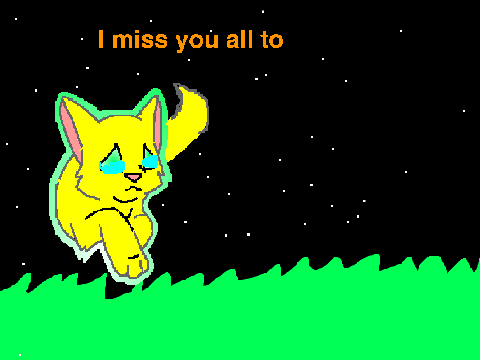 we miss you chica  remix