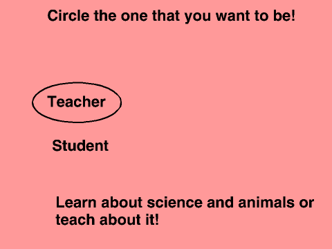 Teacher signup