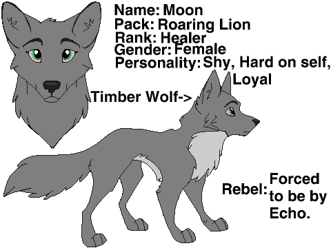 ~Crater Wolf RP~ Moon