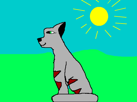 Nice Animation
