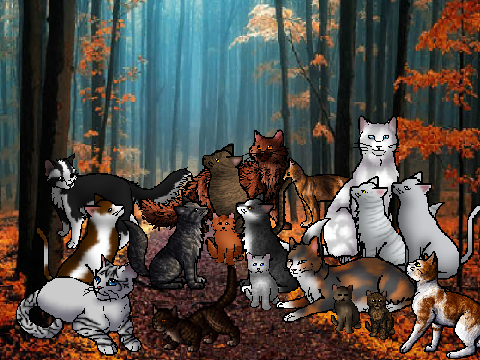  Ashclan adoption