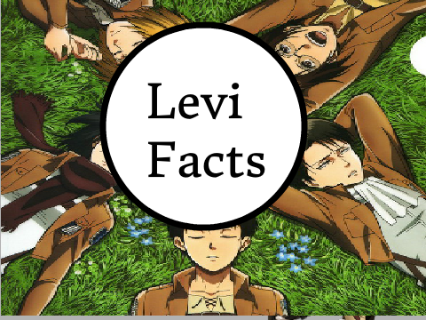  6 Facts About Levi Ackerman