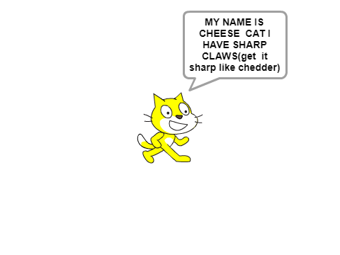 cheese cat