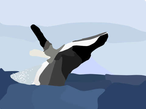 Humpback Whale Blockshade