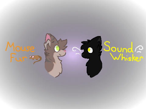 Mousefur & Soundwhisker