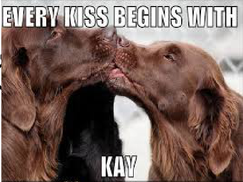 Yet another Every kiss begins with Kay Spoof