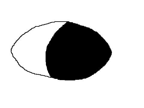An Eyenimation