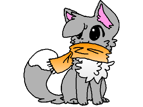my differen types of cat drawings cc