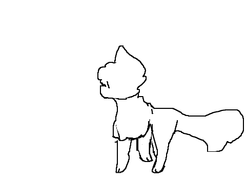 cat walking