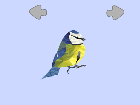 Polyart Bird Collection