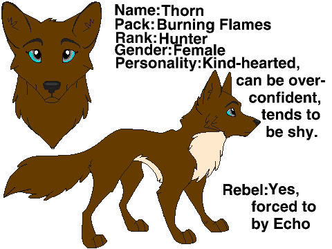Bio For The Crater~Wolf RP 2