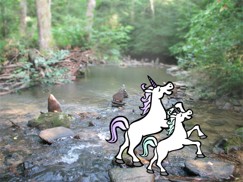 UnicornLife