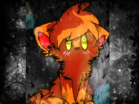 warrior cat CC ~Entry