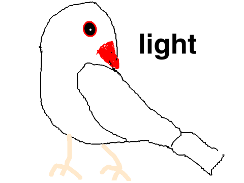 僕の文鳥「ライト」を描いてみたよ！
