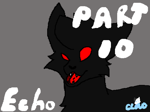 Echo Map | Part 10 