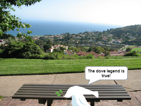 Dumb Dove