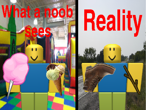 What a noob sees