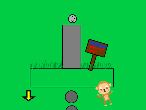 find the monkey