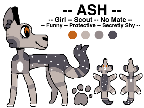 Pack RP -- Entry -- Ash