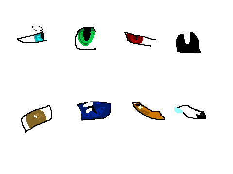 Eye Practices