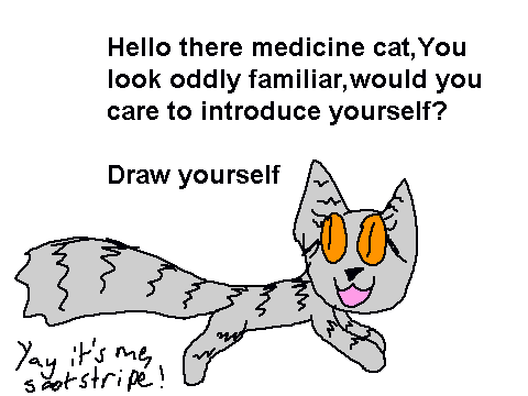 Medicine cat meme