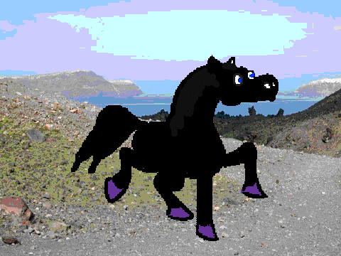 Midnight Stallion