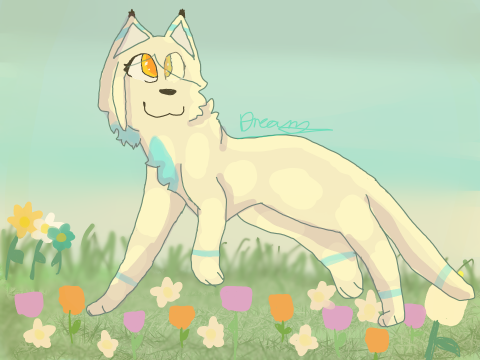 AT with Lilly