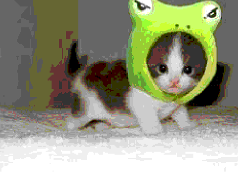 Cuteness!