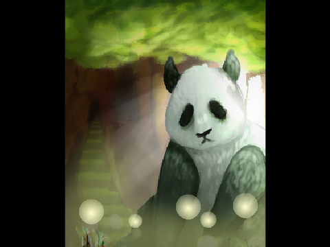  giant panda 