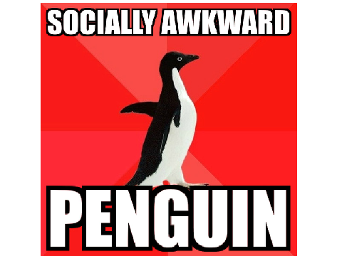 Socially Awkward Penguin