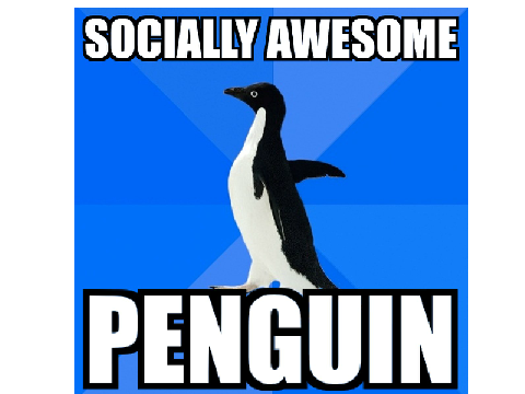 Socially awesome penguin