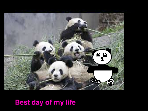 Best Day Of My Life..(with pandas