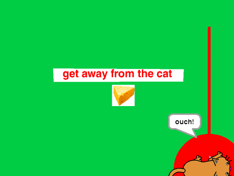Cat and Mouse