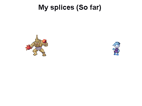 My Splices