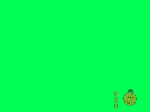 VSN New Bug