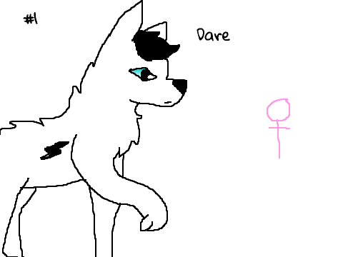 All of my Fursonas/OCs pt.1