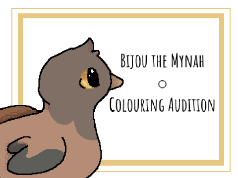 Bijou the Mynah ○ Colouring Audition