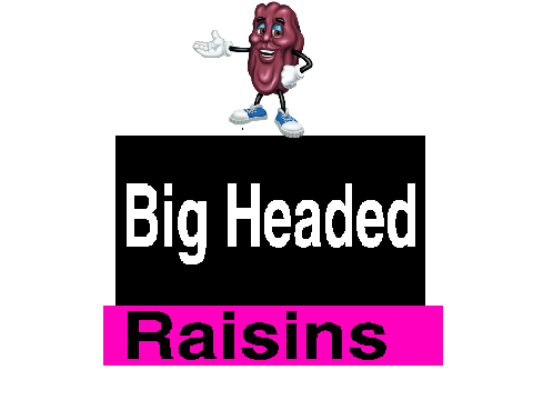 Big headed Raisins Logo (2017)