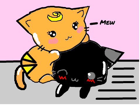 Cute cats! CCE!!!