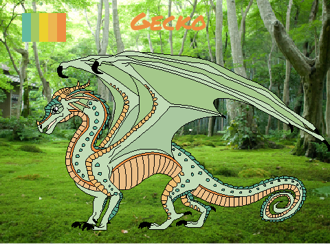 Rainwing Bio: Gecko