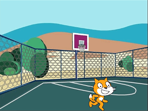 Cat and Basketball