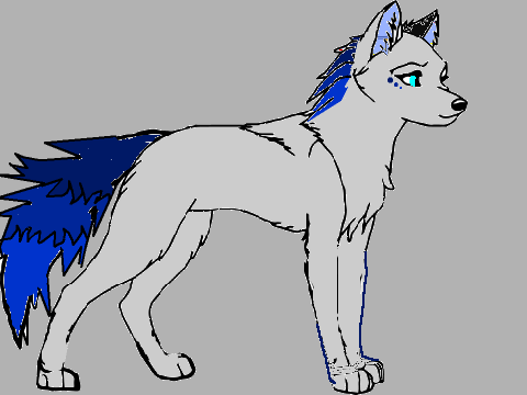 wolf coloring and drawing contest remix remix