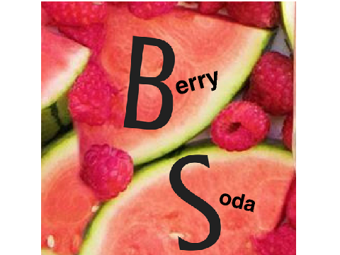 berrysoda - l o g o