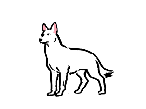 Coloring Wolf Bio