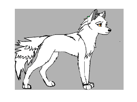 Wolf bio