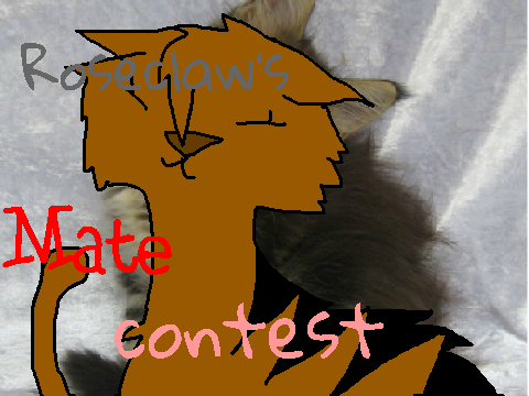 Roseclaw's mate contest! remix