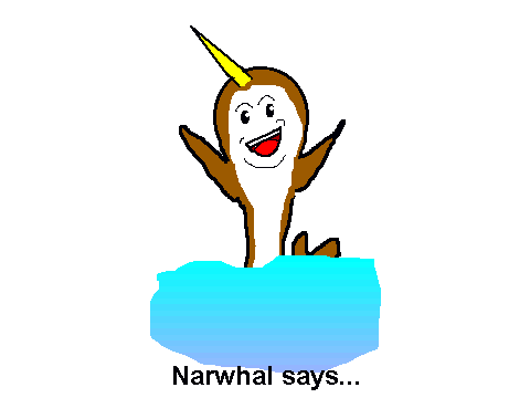 Narwhal says 'Yes!'