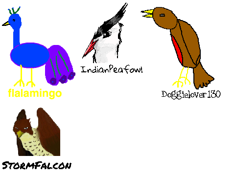 Add yourself as a bird! + StormFalcon
