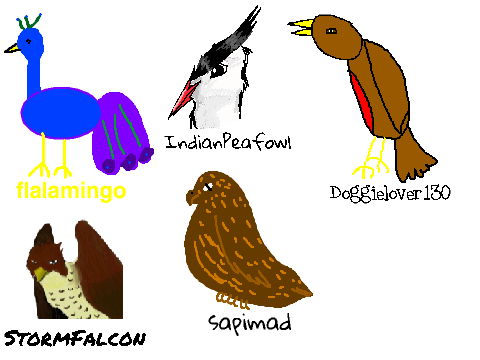 Add yourself as a bird! + StormFalcon + sapimad remix